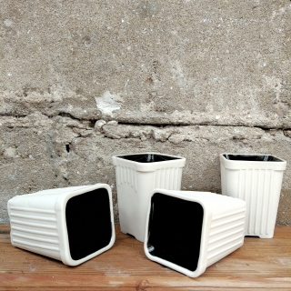 Set of vintage espresso cups