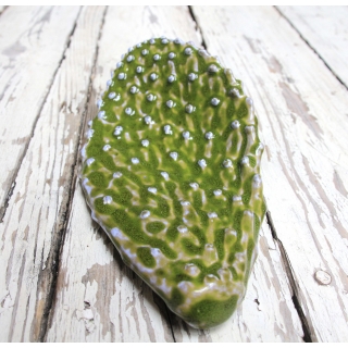 עלה קקטוס קרמי ירוק