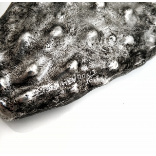 עלה קקטוס אלומיניום