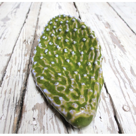 עלה קקטוס קרמי ירוק