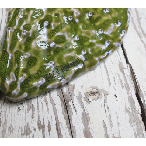 Ceramic cactus green leaf