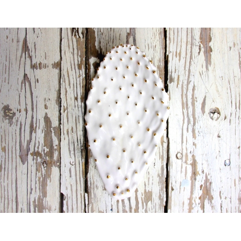 עדן חברוני עלה קקטוס